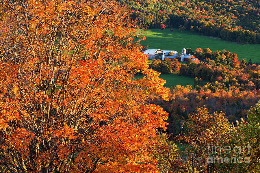 Hillside Farm In Fall Photograph by Alan L Graham