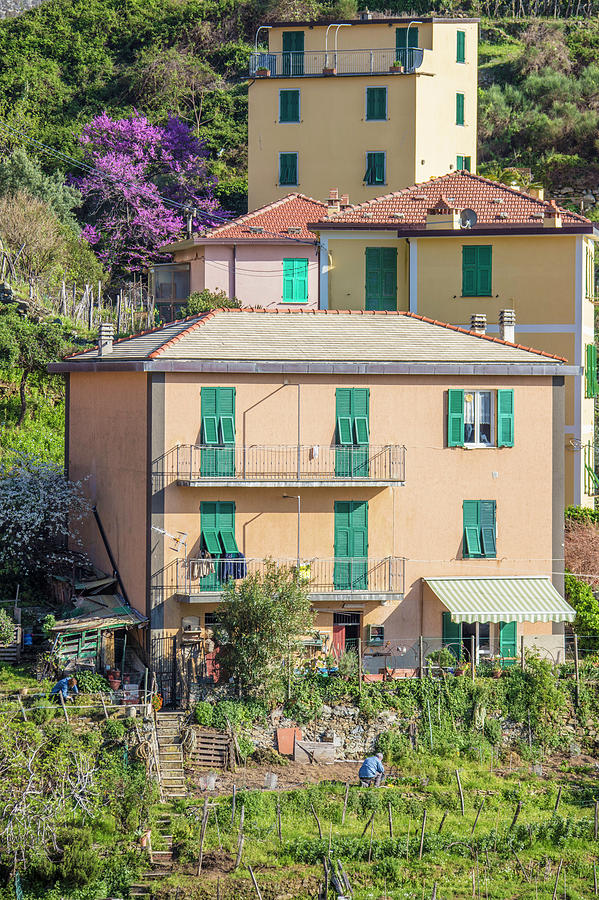 Cinque Terre Photograph - Hillside Home Cinque Terre Italy  by John McGraw