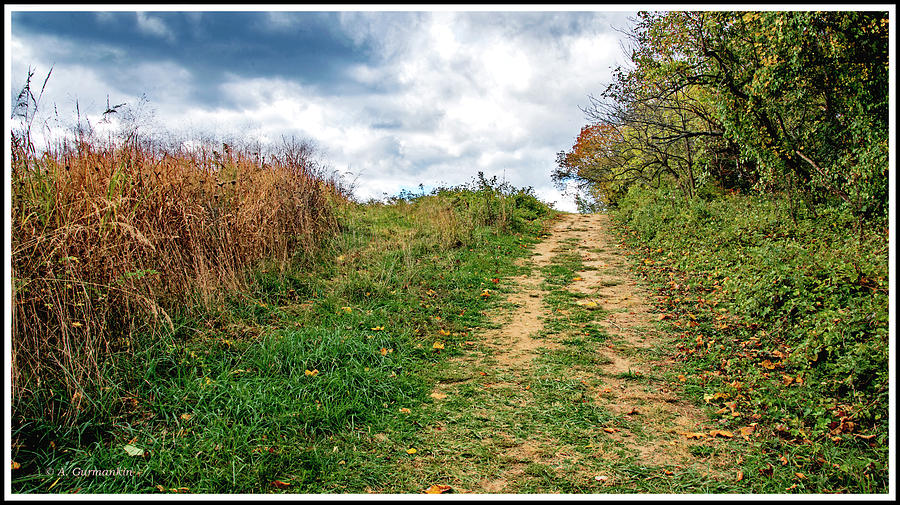 Hillside Path through a Meadow, Autumn Photograph by A Macarthur Gurmankin