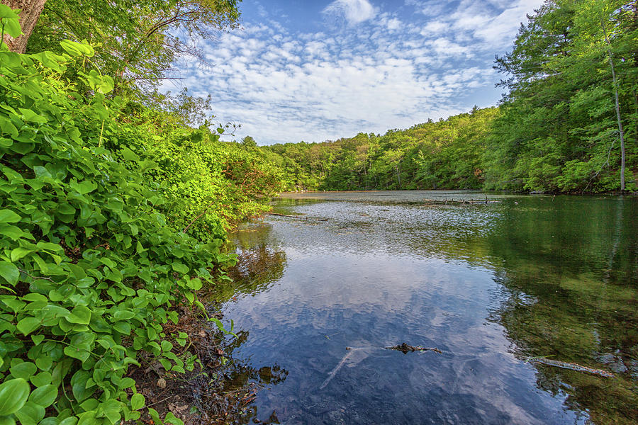 Hillside Pond Milton Massachusetts Photograph by Brian MacLean