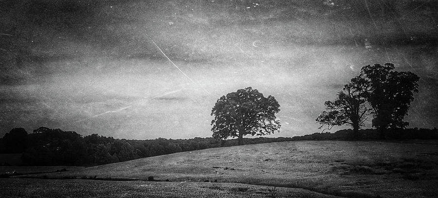 Hillside Tree 5 bw by E Karl Braun Hillside Tree 5 bw by E Karl Braun
