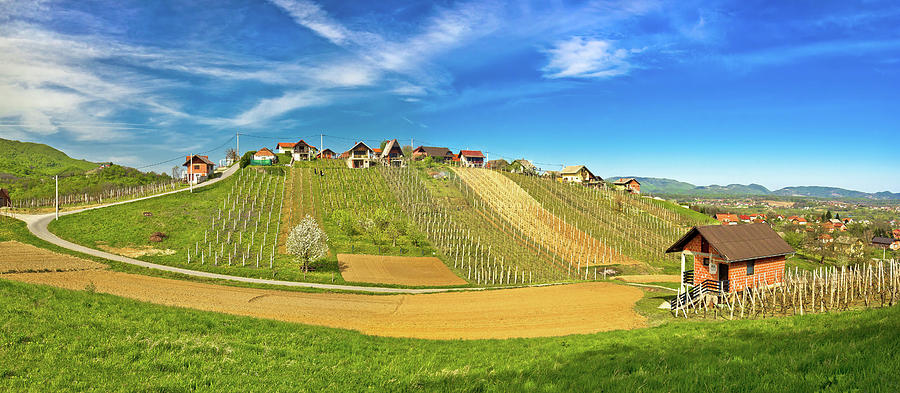 Hillside vineyards and cottages of Zagorje region Photograph by Brch Photography
