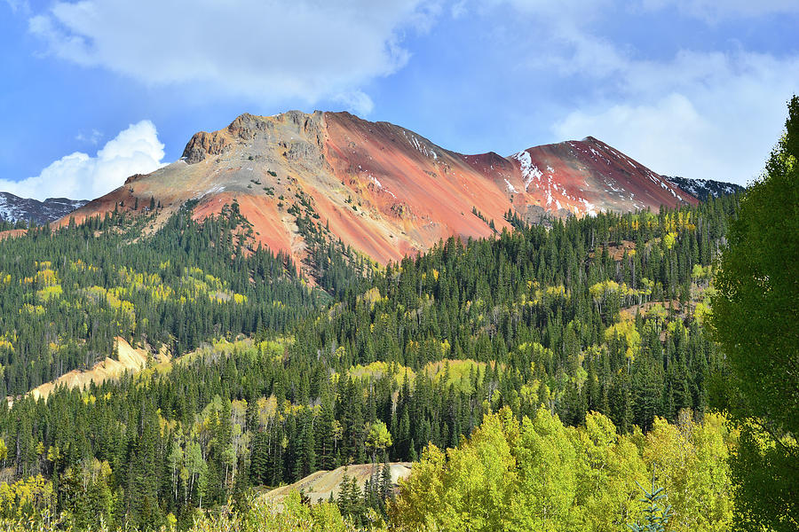 Hillsides of Fall Color at Red Mountain Photograph by Ray Mathis