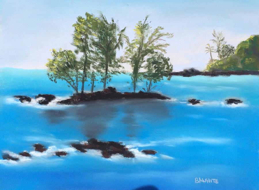 Hilo Hawaii Painting by Brian White