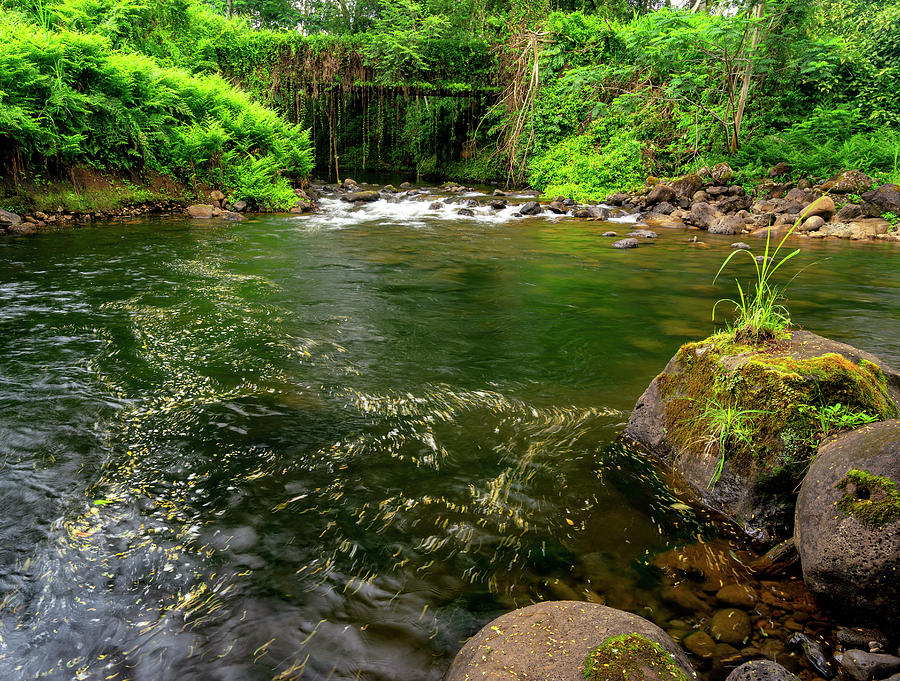 Hilo Stream Photograph by Christopher Johnson