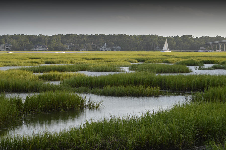 Hilton Head Island Marsh Photograph by Kathy Lyon-Smith - Fine Art America