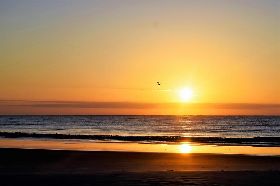 Hilton Head Sunrise 2 Photograph by Mary Ann Artz - Fine Art America