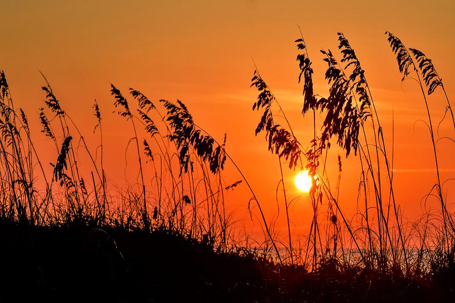 Hilton Head Sunrise Photograph by Mary Ann Artz