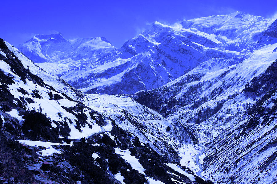 Himalayan Blues Photograph by Aidan Moran