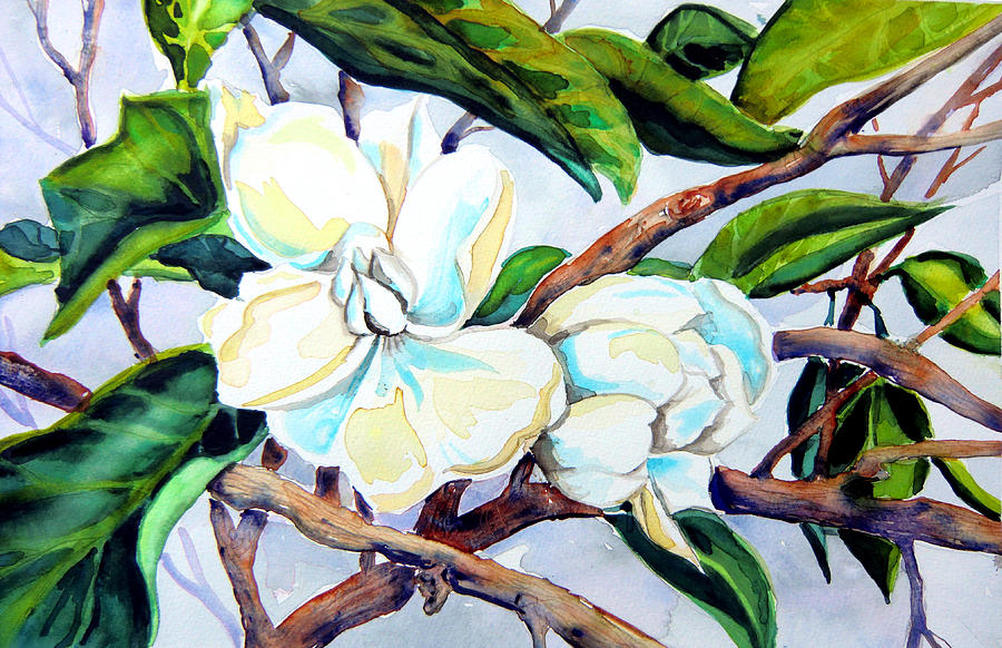 Magnolia Movie Painting - Himalayan Magnolia by Helen Kern