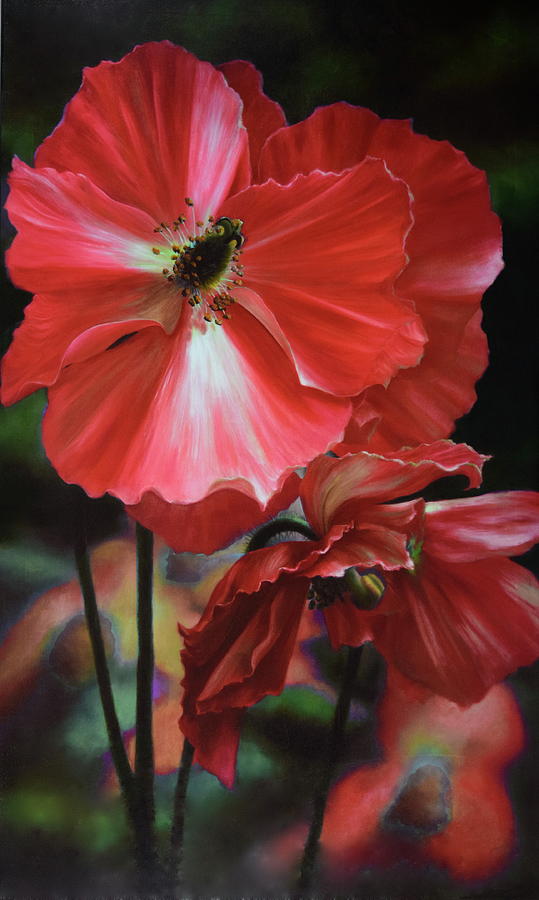 Red Himalayan Poppy Painting by Lynne Pittard