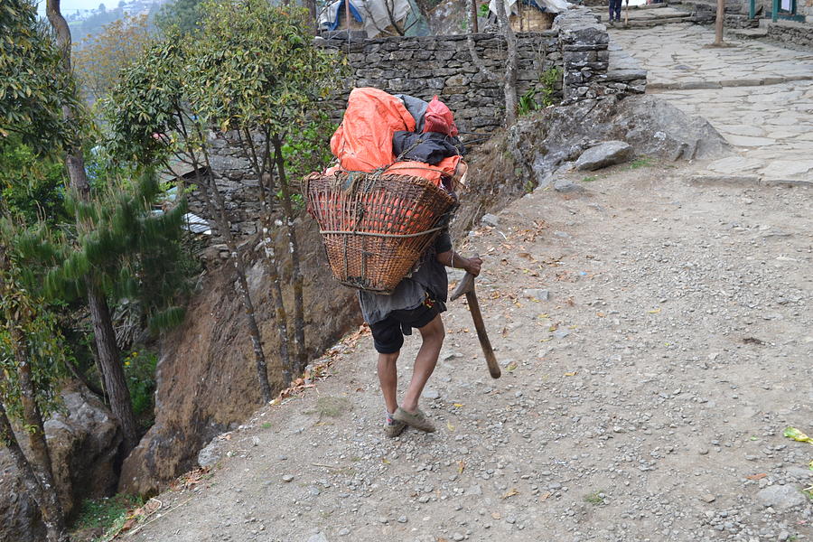 Himalayan Sherpa Photograph By Ann And John Cinnamon Fine Art America   Himalayan Sherpa Ann And John Cinnamon 