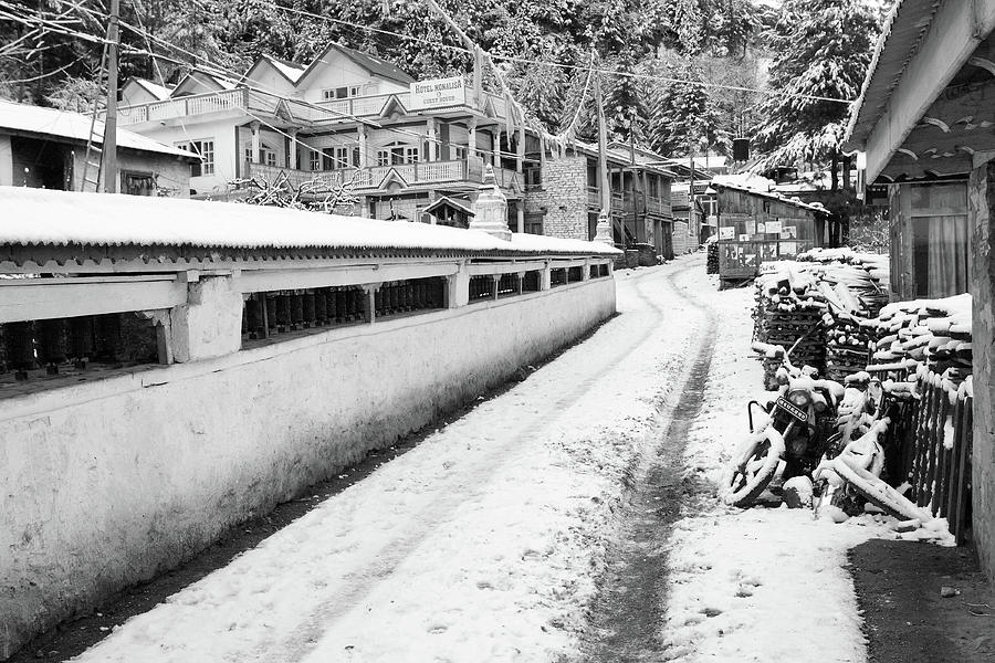 Himalayan Winter Scene Photograph by Aidan Moran