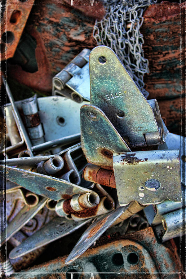 Hinges Photograph by Sylvia Thornton