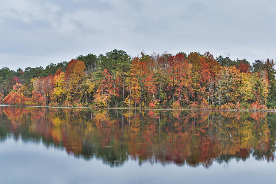 Hinson Lake Fall Photograph by Jimmy McDonald
