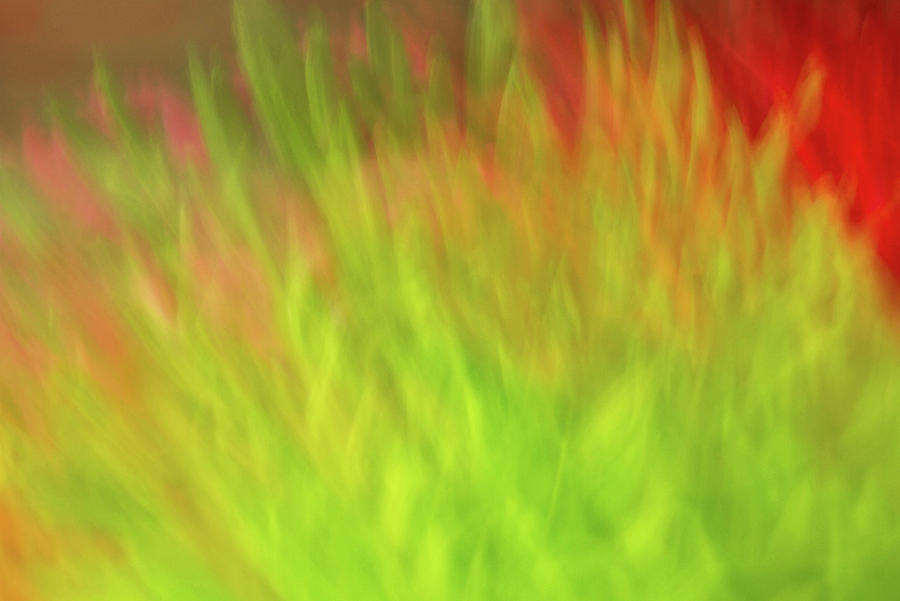 Abstract Photograph - Hint of a Flower by Cheryl Day