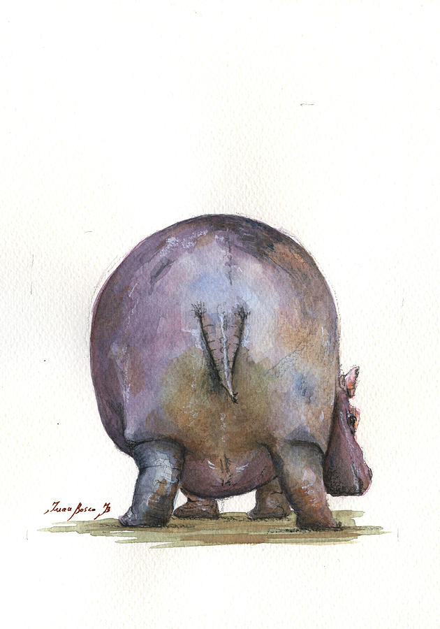 Hippo Watercolor Painting - Hippo back by Juan Bosco