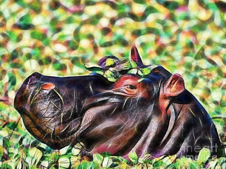 Hippopotamus Mixed Media - Hippo by Marvin Blaine