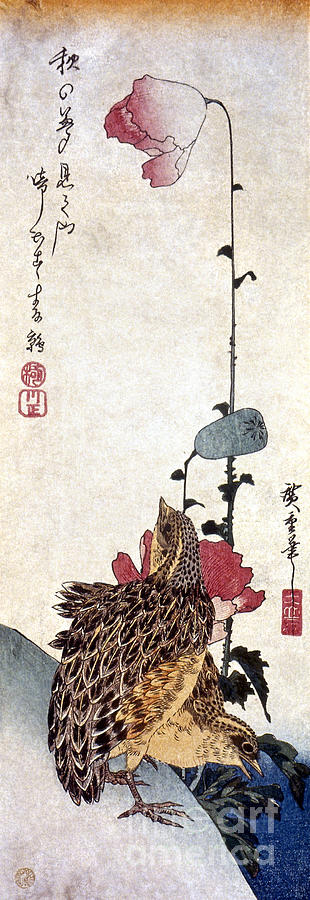 Hiroshige: Poppies Photograph by Granger