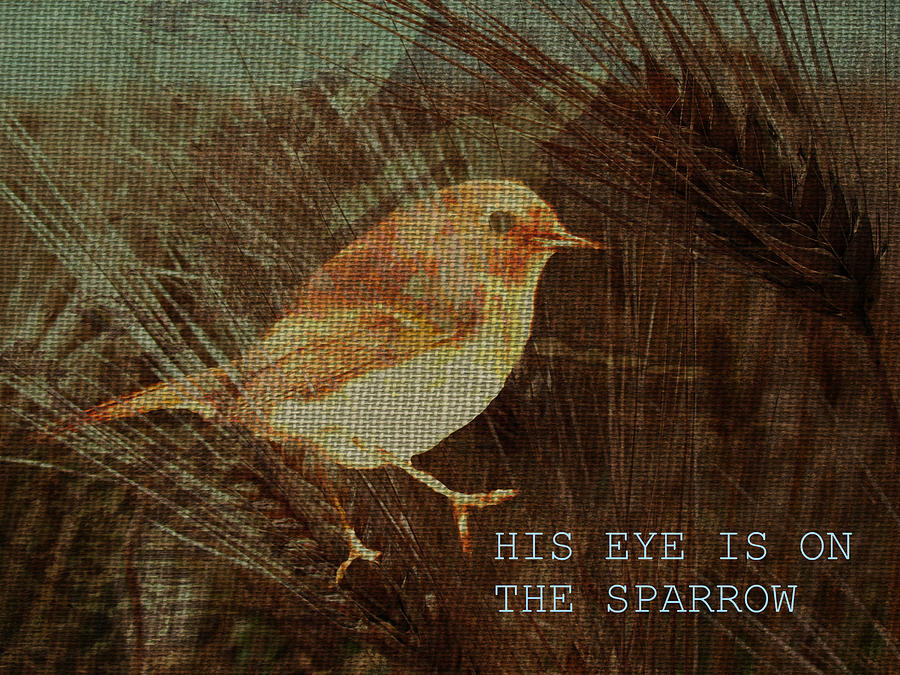 Sparrow Digital Art - His eye is on the sparrow by Suzanne Carter