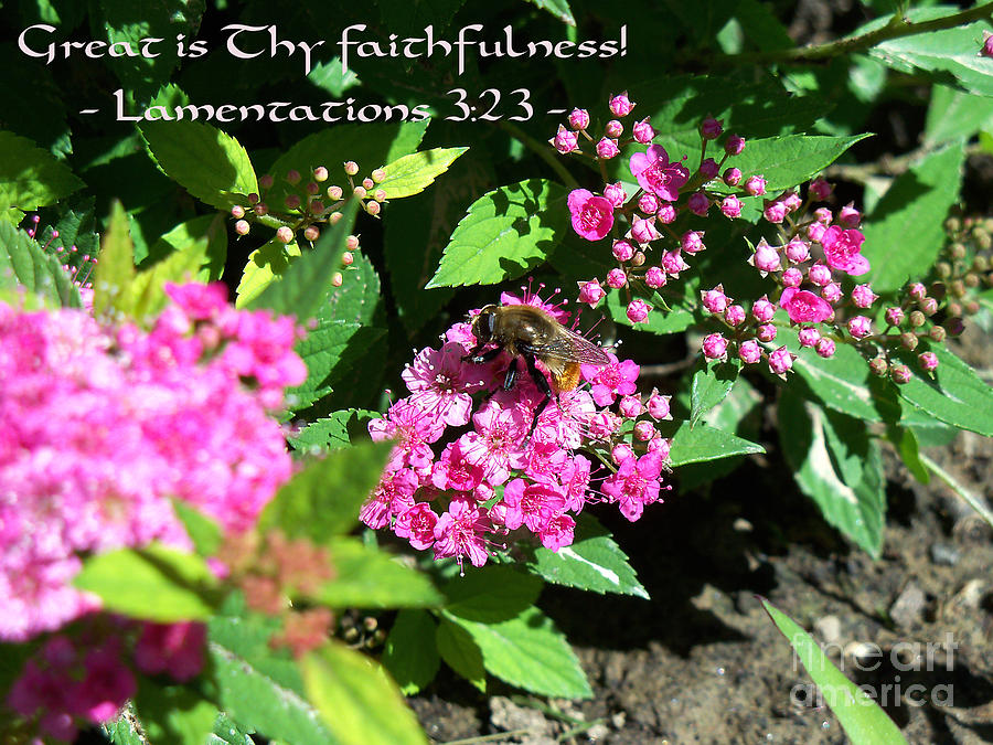 His Faithfulness Photograph by Corinne Elizabeth Cowherd