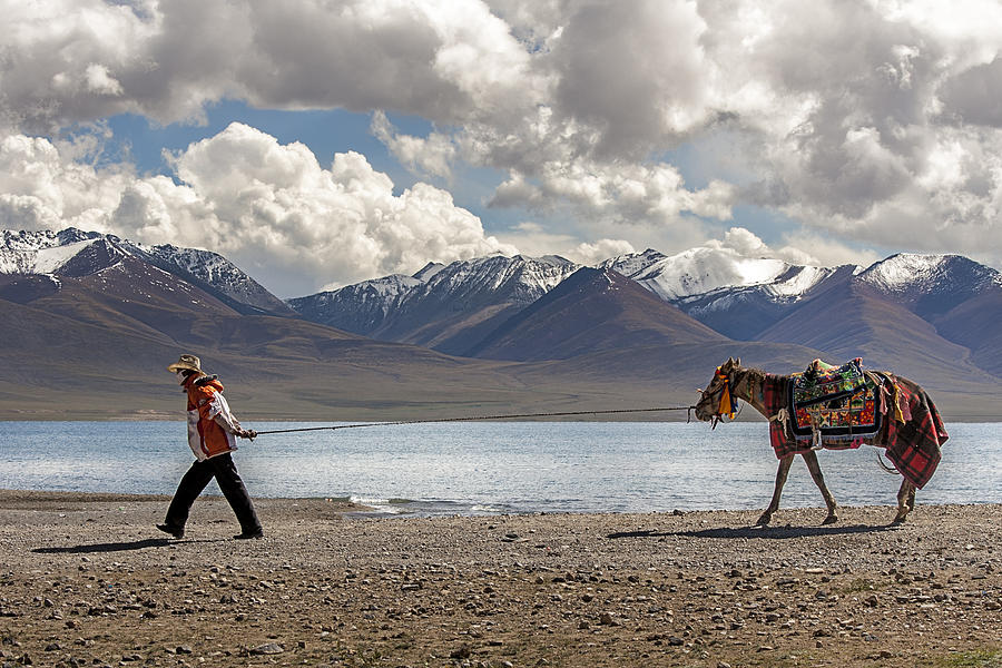 Horse Photograph - His Horse, Tibet, 2007  by Hitendra SINKAR