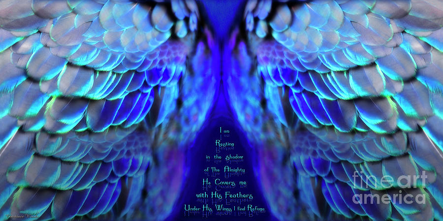 Psalm 91 Wings 2 Mixed Media by Constance Woods