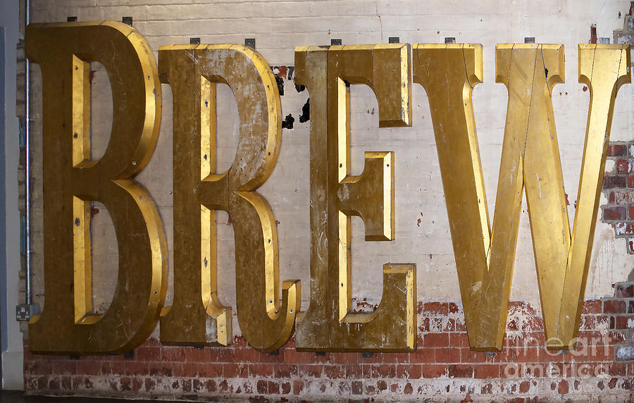 A Golden Brew Photograph by Brenda Kean