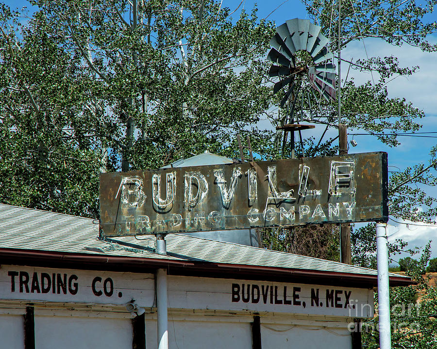 Historic Budville Photograph by Stephen Whalen