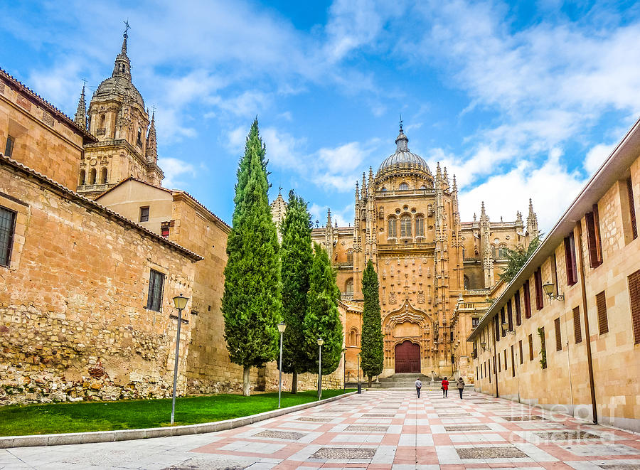 Historic Cathedral of Salamanca, Castilla y Leon, Spain Photograph by JR Photography