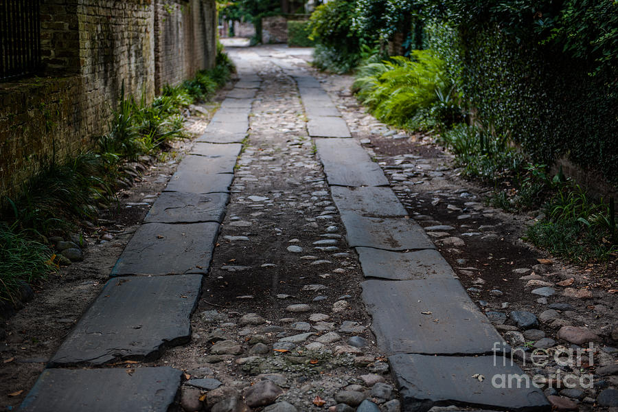Historic Charleston Cobbleston Alley Photograph by Dale Powell