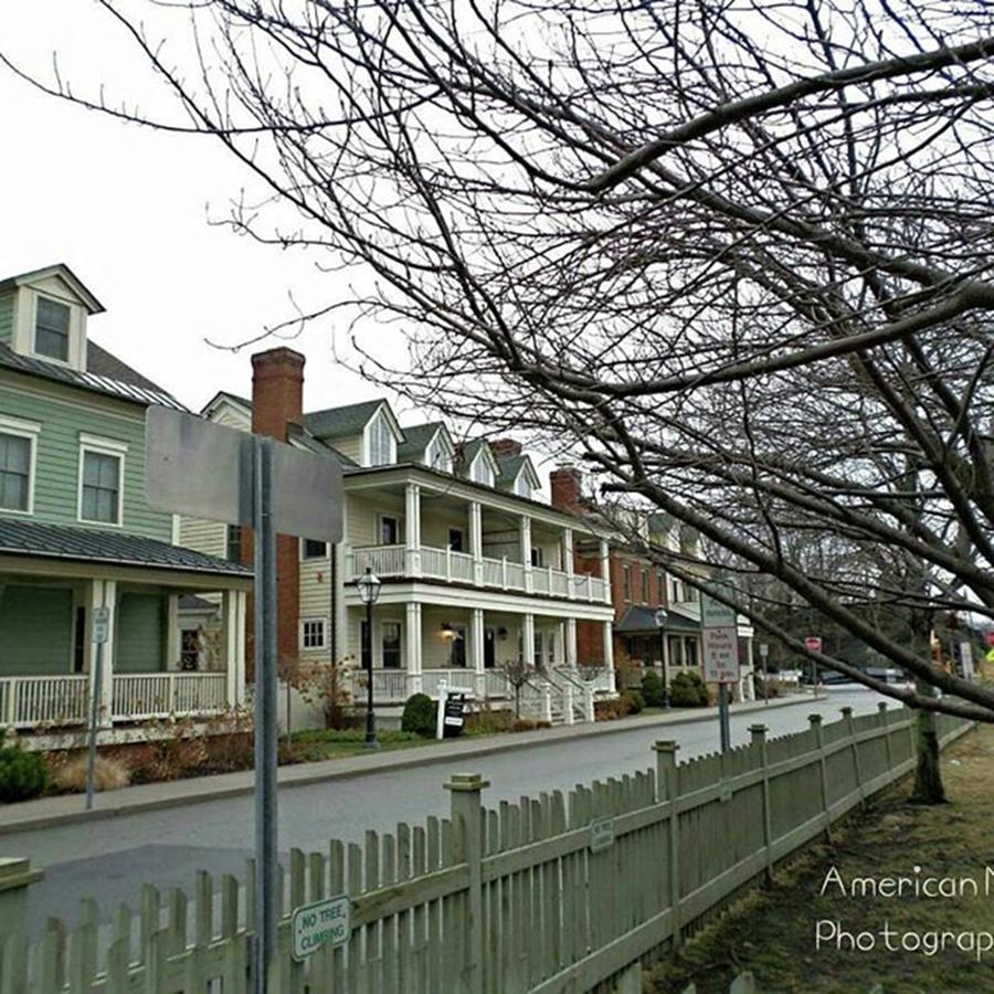 Historic District Walks Are The Best Photograph by Stephanie Piaquadio