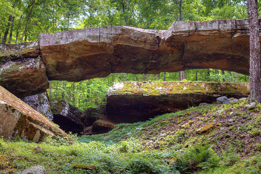 Historic Natural Bridge of Arkansas Photograph by Ester McGuire