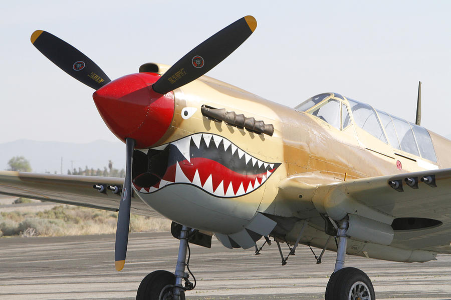 Historic P-40 Warhawk Photograph by Shoal Hollingsworth