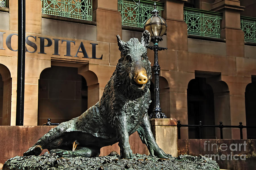 Architecture Photograph - Historic Sydney Hospital - Florentine Boar by Kaye Menner