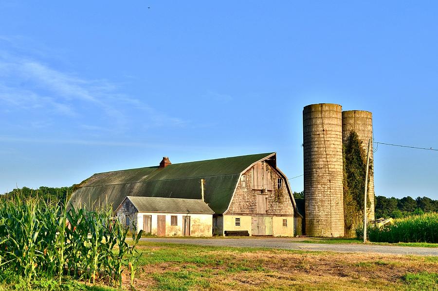 Historic Townsend Barn - Lewes Delaware Photograph by Kim Bemis