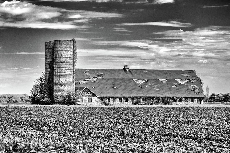 Historic Townsend Barn Lewes in Black and White Photograph by Bill Swartwout
