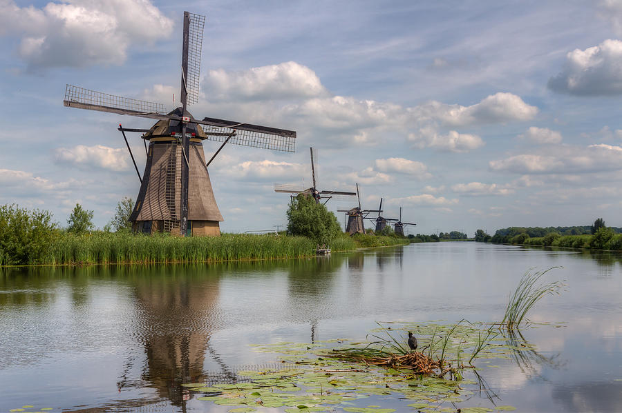Historic Windmills in Holland Photograph by Clare Bambers