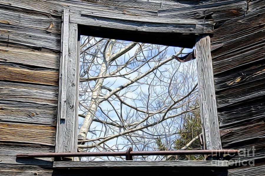 Historic Window Photograph by Sandra Updyke