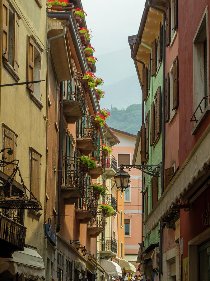 Flower Photograph -  Historical street in Malcesine village, lake Garda, Italy by Nicola Aristolao