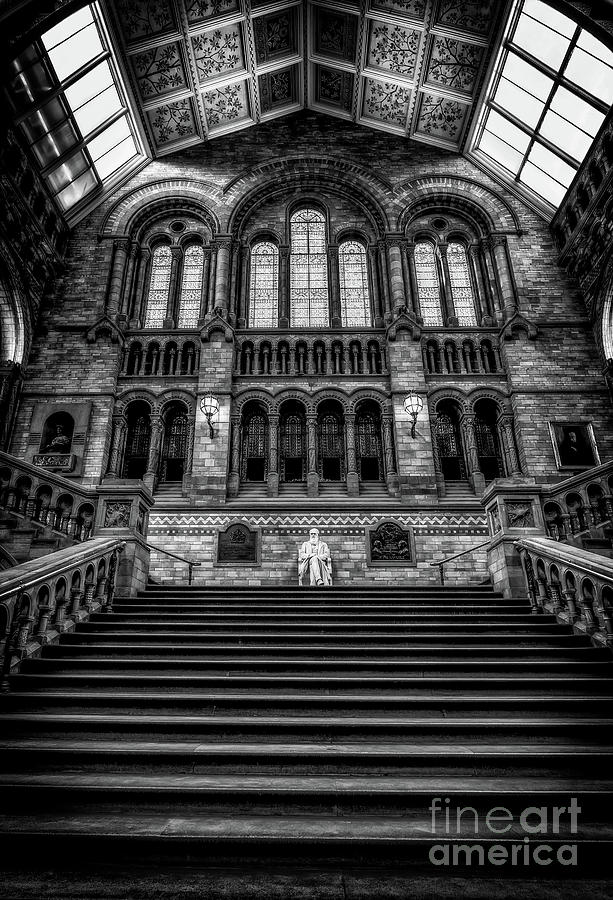 History Museum London Photograph by Adrian Evans