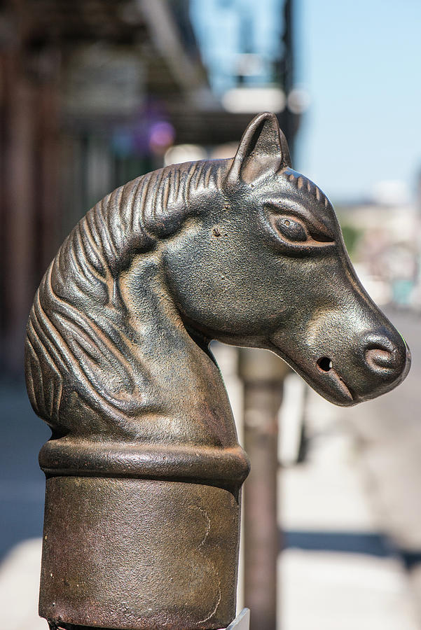 New Orleans Photograph - Horse Head Hitching Post French Quarter by Bee Creek Photography - Tod and Cynthia