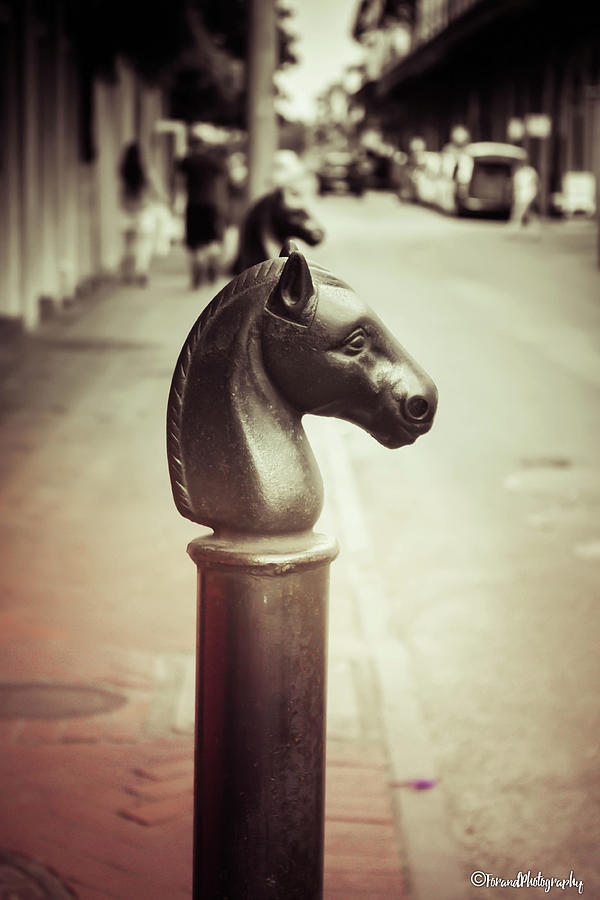 Hitching Post New Orleans Photograph by Debra Forand