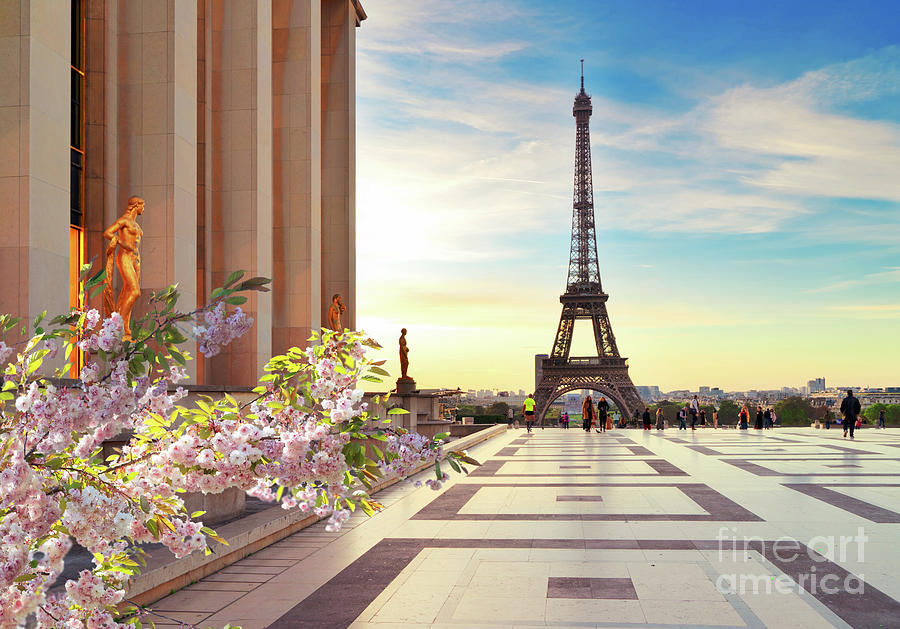 Spring in Paris II Photograph by Anastasy Yarmolovich
