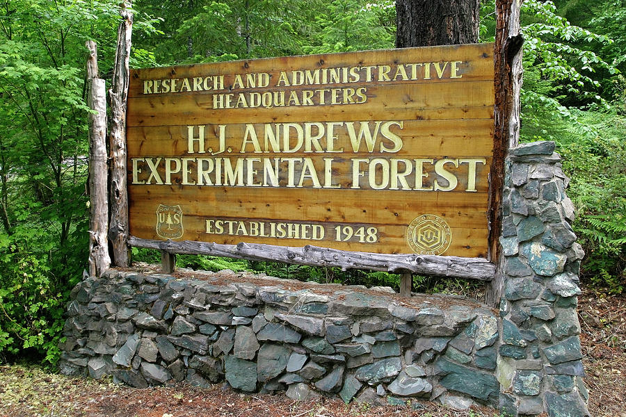 h.j. andrews experimental forest headquarters