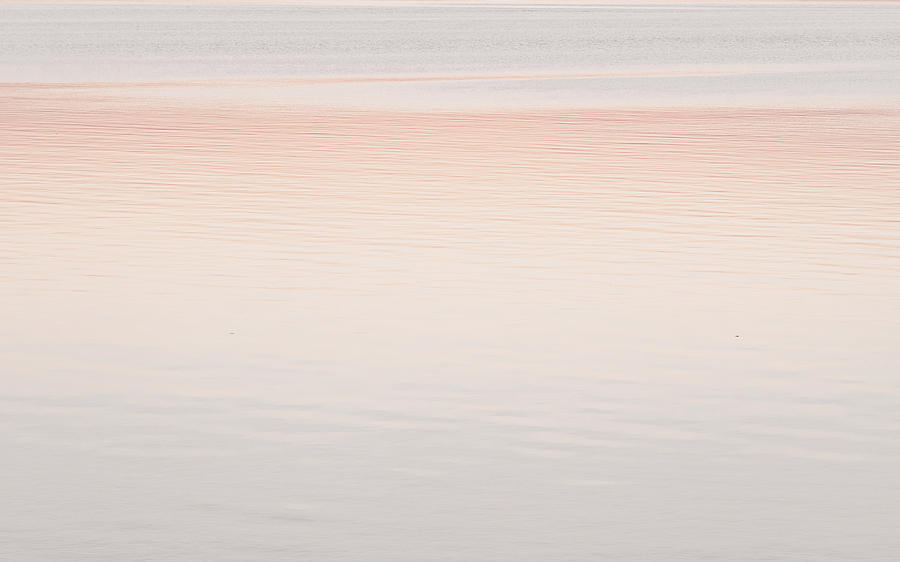 Pink Sunset Photograph by Andrea Anderegg