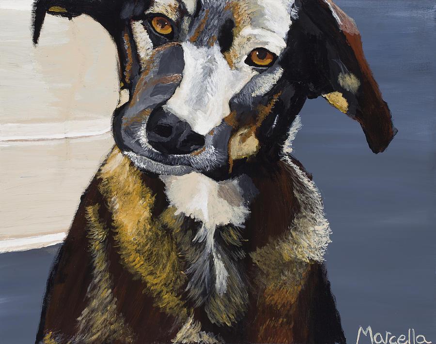 Dog Painting - Hmmm? by Marcella Morse