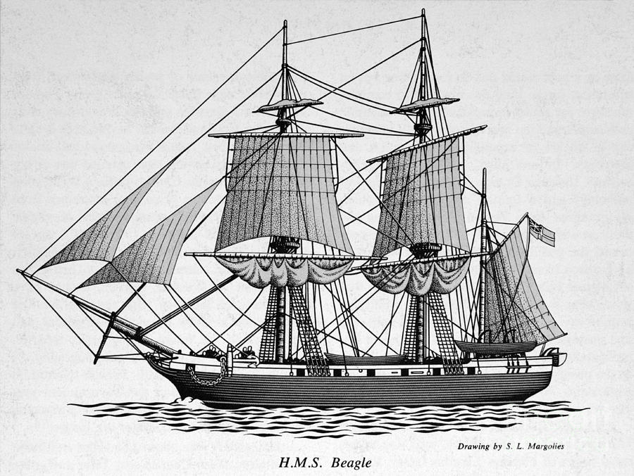 H.m.s. Beagle Photograph by Science Source