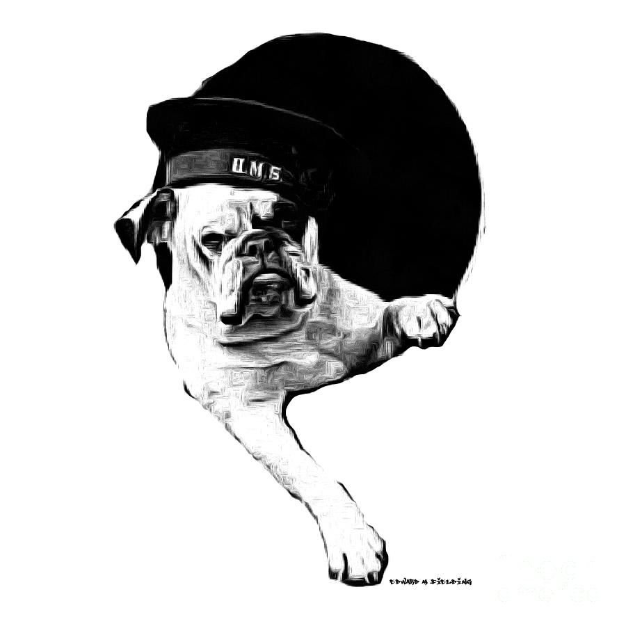 Dog Painting - HMS Bulldog by Edward Fielding