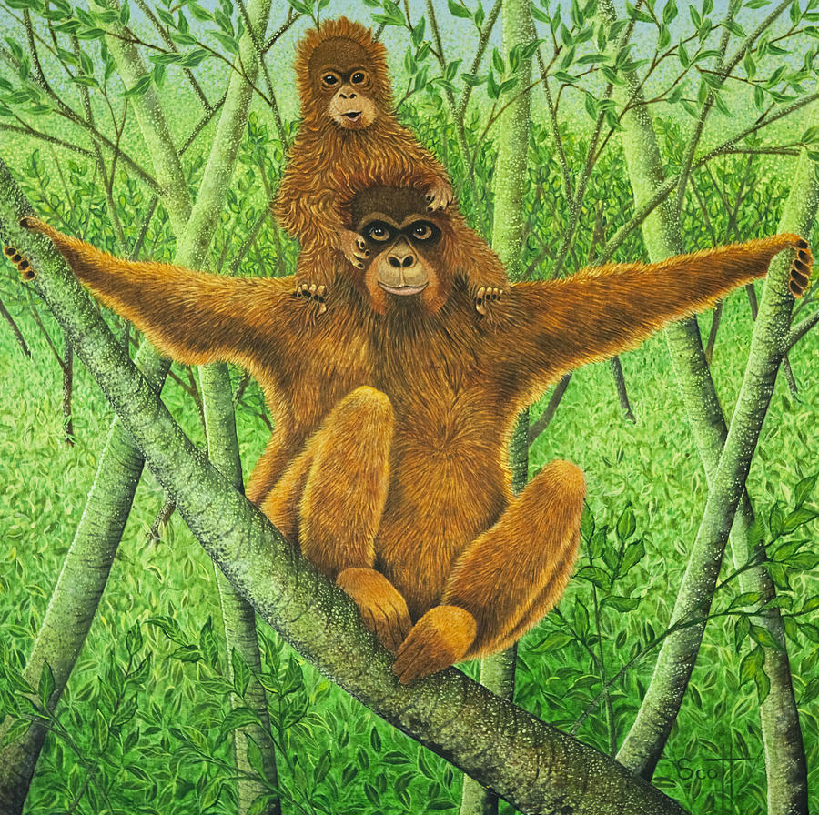 Orangutan Painting - Hnag On In There by Pat Scott